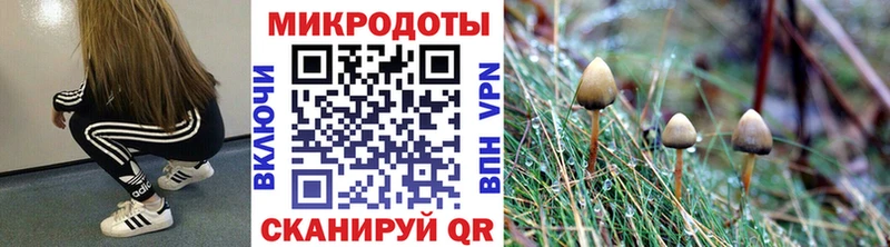 цены наркотик  Ленинградская  Галлюциногенные грибы MAGIC MUSHROOMS 